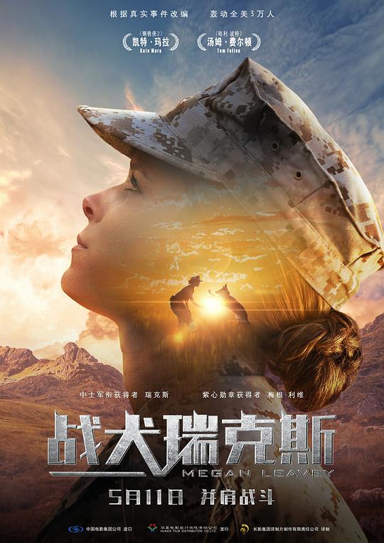 征服明星小说高圆圆影视海报